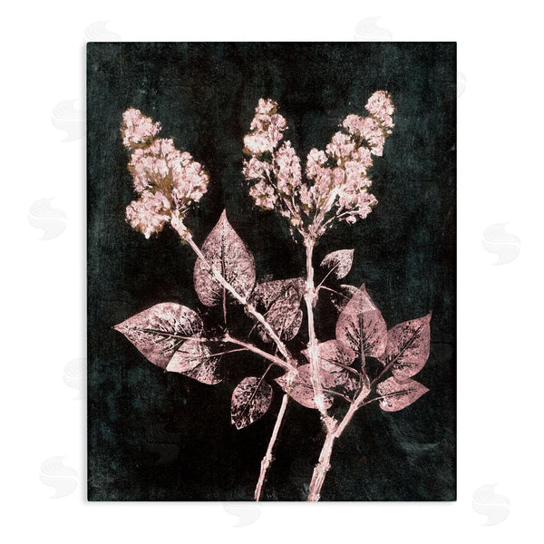 stupell industries Pernille Folcarelli | Abstract Lilac Plant Wall Art