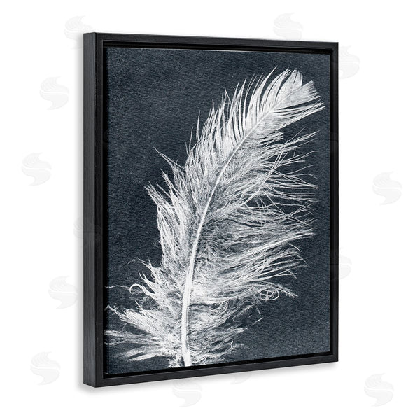 Stupell Industries Pernille Folcarelli | Blue & White Feather Wall Art
