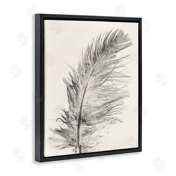 Stupell Industries Pernille Folcarelli | Boho Windswept Feather Wall Art