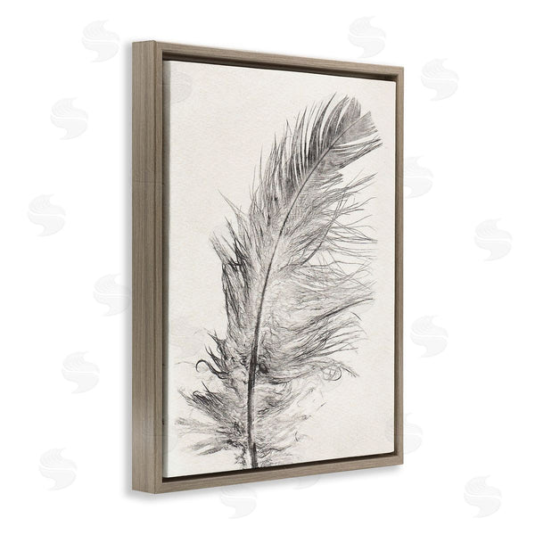 Stupell Industries Pernille Folcarelli | Boho Windswept Feather Wall Art