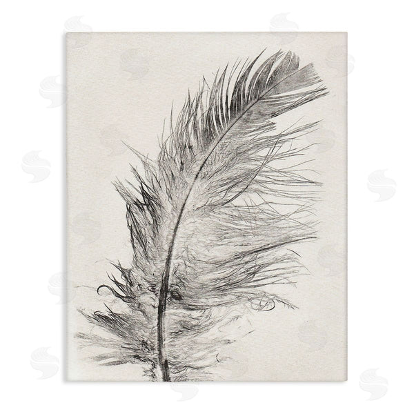 stupell industries Pernille Folcarelli | Boho Windswept Feather Wall Art