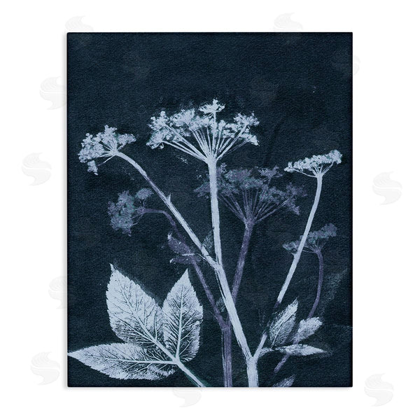 stupell industries Pernille Folcarelli | Spring Botanical Shapes Wall Art