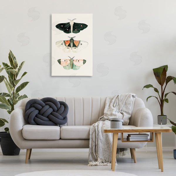 Stupell Industries Petal Prints Design | Assorted Moth Trio Wall Art