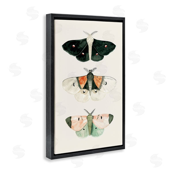 Stupell Industries Petal Prints Design | Assorted Moth Trio Wall Art