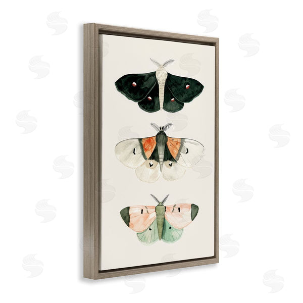 Stupell Industries Petal Prints Design | Assorted Moth Trio Wall Art