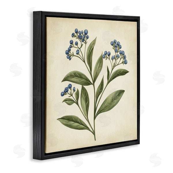 Stupell Industries Petal Prints Design | Blue Buds Botanical Illustration Wall Art
