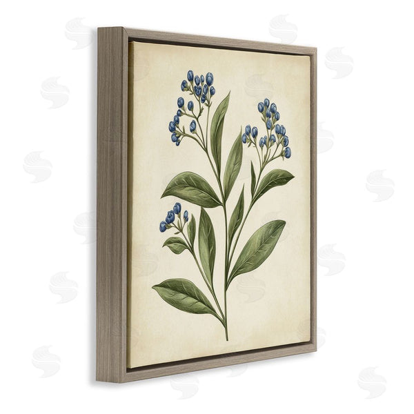 Stupell Industries Petal Prints Design | Blue Buds Botanical Illustration Wall Art
