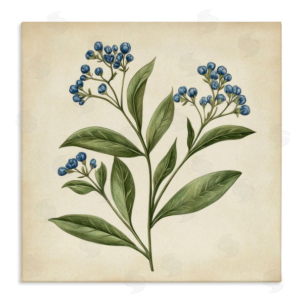 stupell industries Petal Prints Design | Blue Buds Botanical Illustration Wall Art