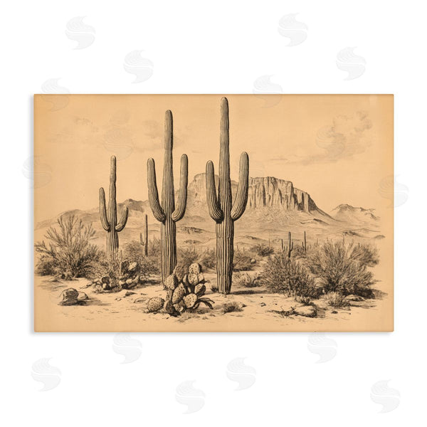 stupell industries Petal Prints Design | Cactus Desert Vintage Landscape Wall Art