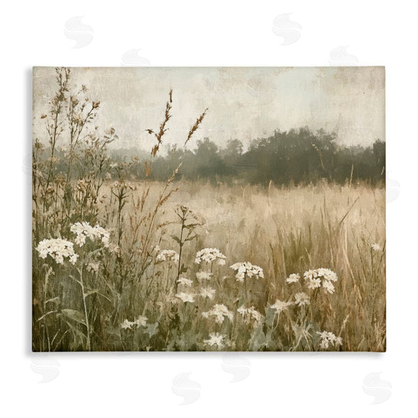 stupell industries Petal Prints Design | Daisy Clusters in Meadow