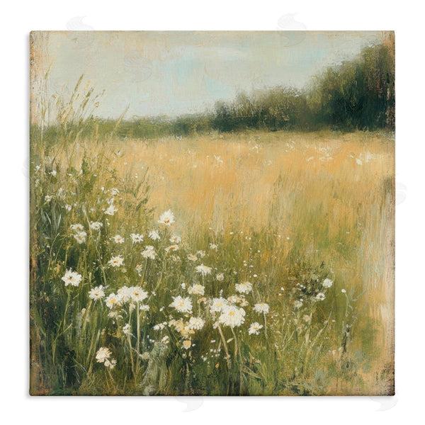 stupell industries Petal Prints Design | Daisy Dream Field