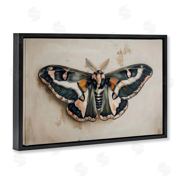 Stupell Industries Petal Prints Design | Dark Winged Moth Wall Art