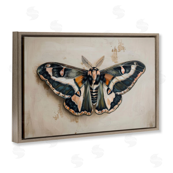 Stupell Industries Petal Prints Design | Dark Winged Moth Wall Art