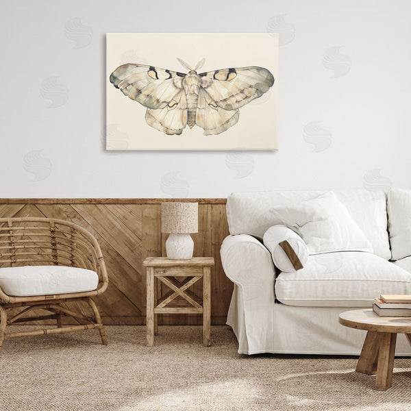 Stupell Industries Petal Prints Design | Dusty Beige Moth Wall Art
