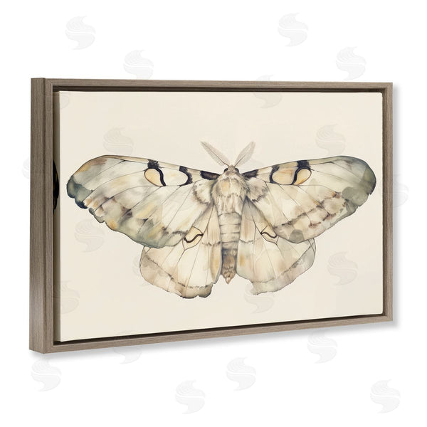 Stupell Industries Petal Prints Design | Dusty Beige Moth Wall Art