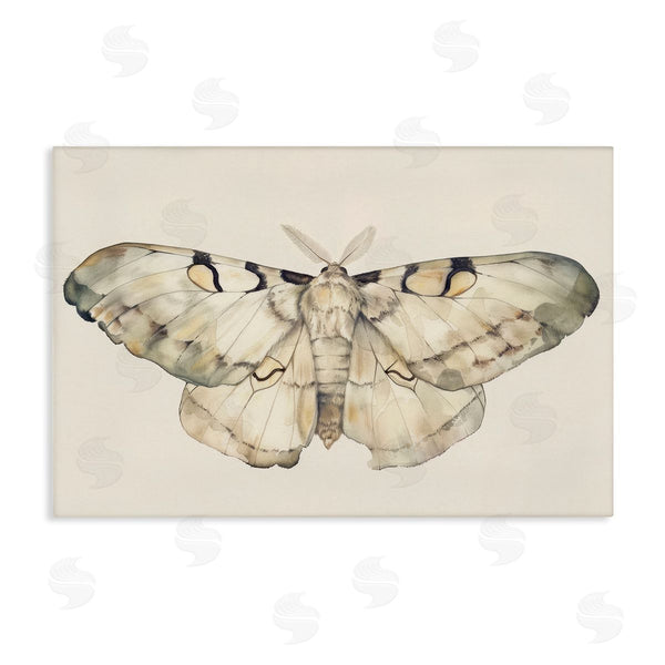 stupell industries Petal Prints Design | Dusty Beige Moth Wall Art