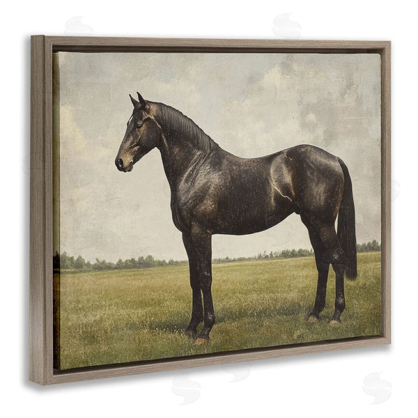Stupell Industries Petal Prints Design | Espresso Horse Portrait