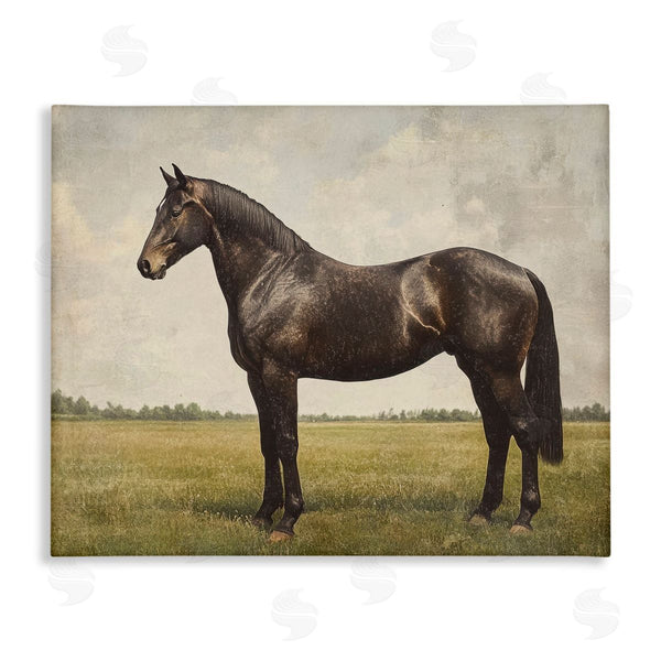 stupell industries Petal Prints Design | Espresso Horse Portrait