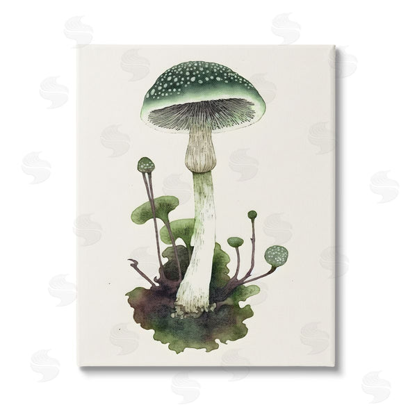 stupell industries Petal Prints Design | Forest Green Mushroom Wall Art