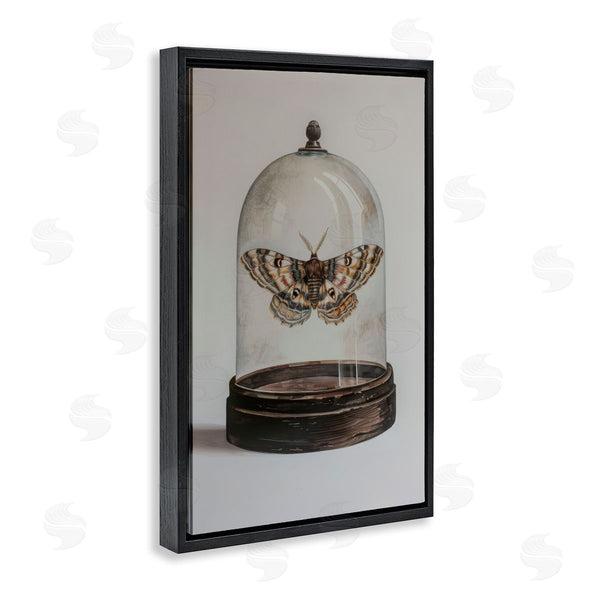 Stupell Industries Petal Prints Design | Moth In Glass Cloche Wall Art