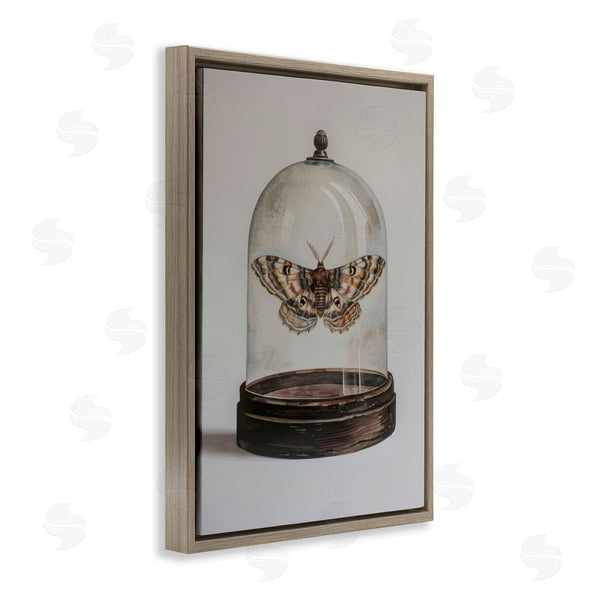 Stupell Industries Petal Prints Design | Moth In Glass Cloche Wall Art