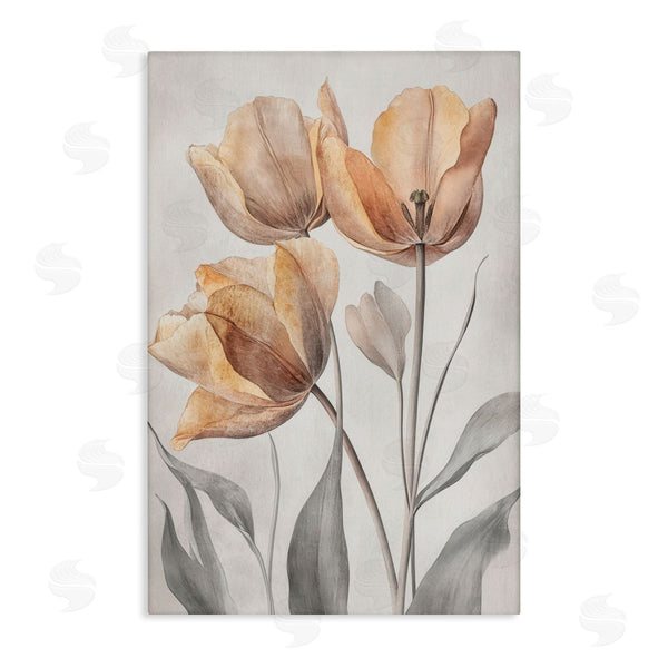 stupell industries Petal Prints Design | Pressed Poppies Orange Florals Wall Art