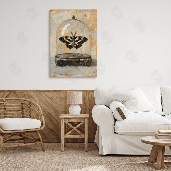 Stupell Industries Petal Prints Design | Rustic Moth In Glass Wall Art