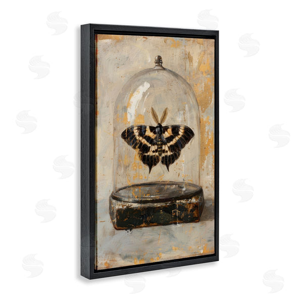 Stupell Industries Petal Prints Design | Rustic Moth In Glass Wall Art