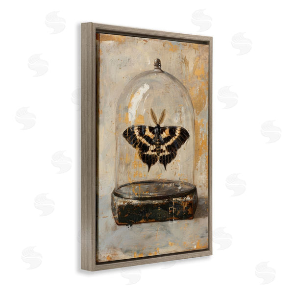 Stupell Industries Petal Prints Design | Rustic Moth In Glass Wall Art