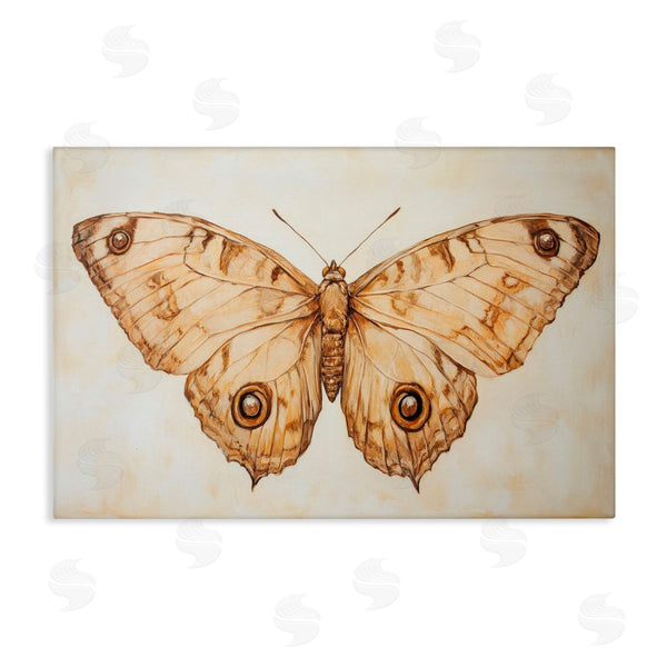 stupell industries Petal Prints Design | Sepia Moth Vintage Illustration Wall Art