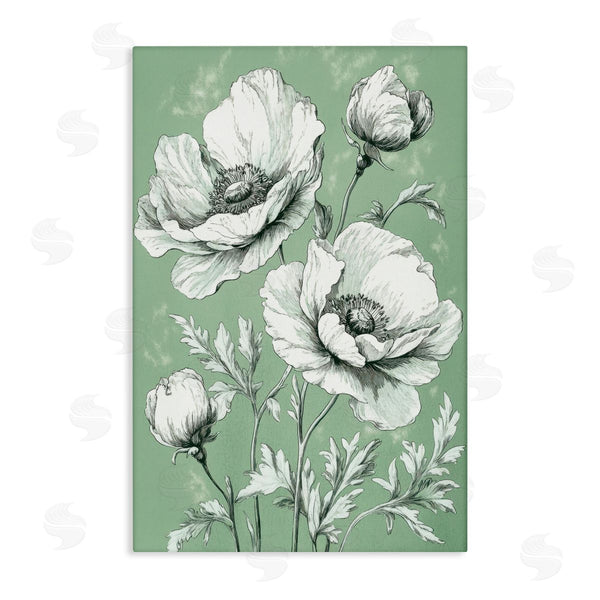 stupell industries Petal Prints Design | Soft Green Poppy Floral Wall Art