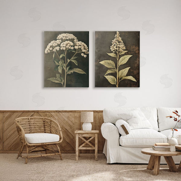 Stupell Industries Petal Prints Design | Sophisticated And Weathered Flower Portraits Wall Art