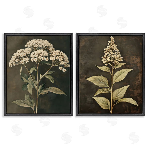 Stupell Industries Petal Prints Design | Sophisticated And Weathered Flower Portraits Wall Art