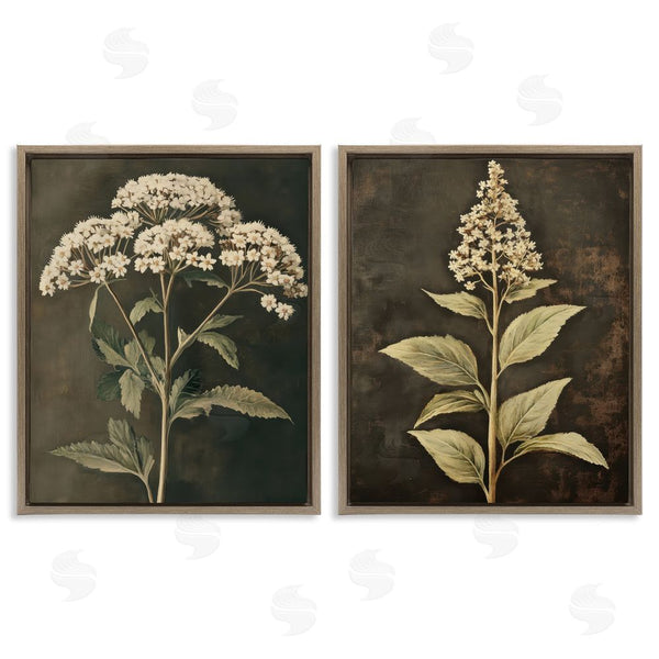Stupell Industries Petal Prints Design | Sophisticated And Weathered Flower Portraits Wall Art