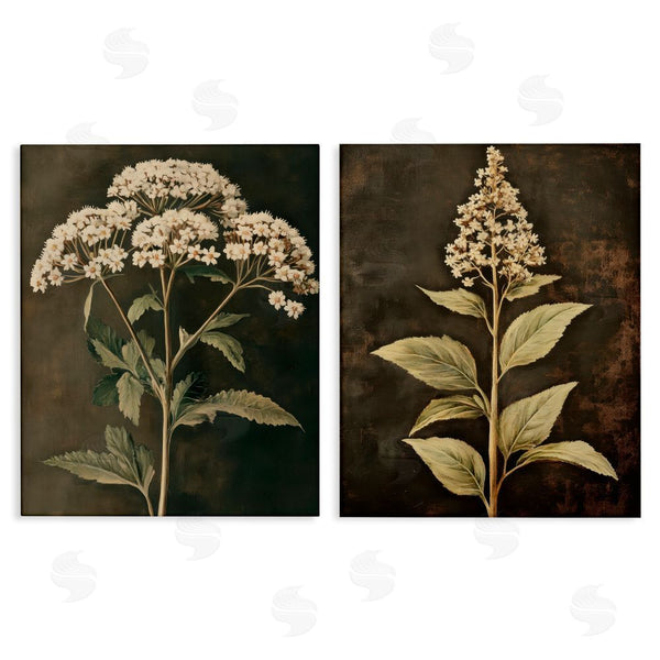 stupell industries Petal Prints Design | Sophisticated and Weathered Flower Portraits Wall Art