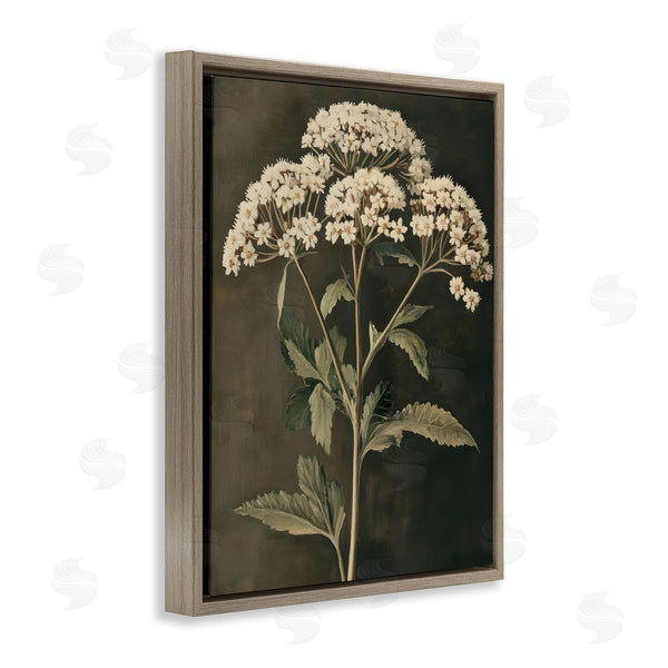 Stupell Industries Petal Prints Design | Sophisticated Floral Portrait Wall Art