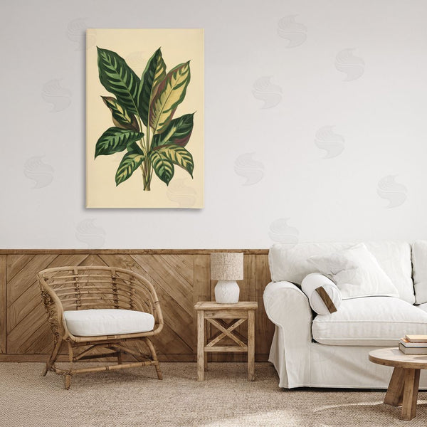 Stupell Industries Petal Prints Design | Tropical Leaves Green Fronds Wall Art