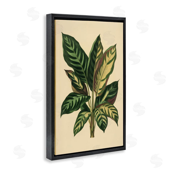 Stupell Industries Petal Prints Design | Tropical Leaves Green Fronds Wall Art