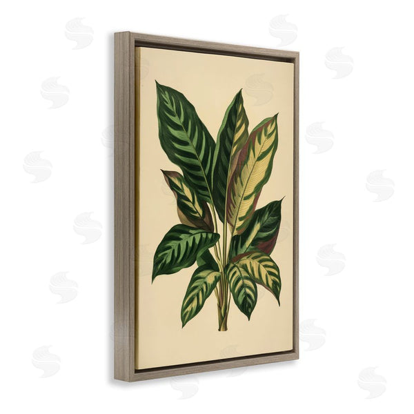 Stupell Industries Petal Prints Design | Tropical Leaves Green Fronds Wall Art