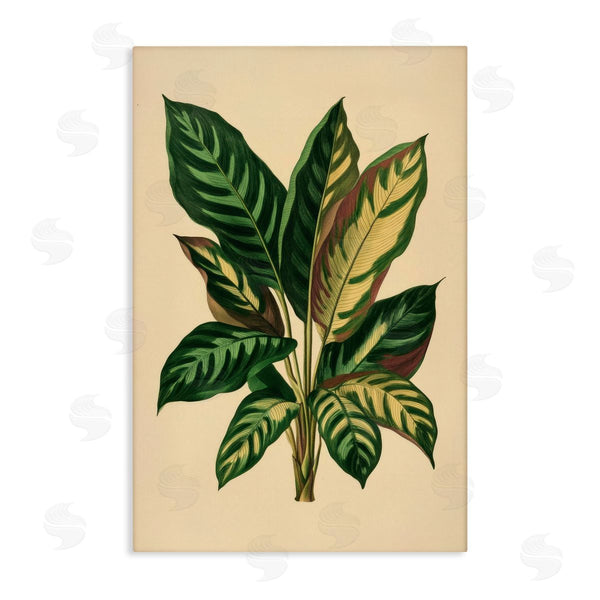 stupell industries Petal Prints Design | Tropical Leaves Green Fronds Wall Art