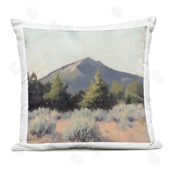 Stupell Industries Petal Prints Design | Tucson Mountain Landscape Printed Throw Pillow