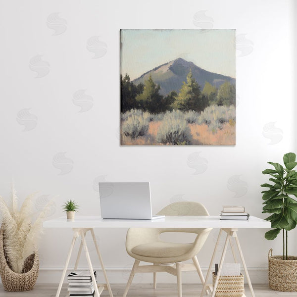 Stupell Industries Petal Prints Design | Tucson Mountain Landscape Wall Art
