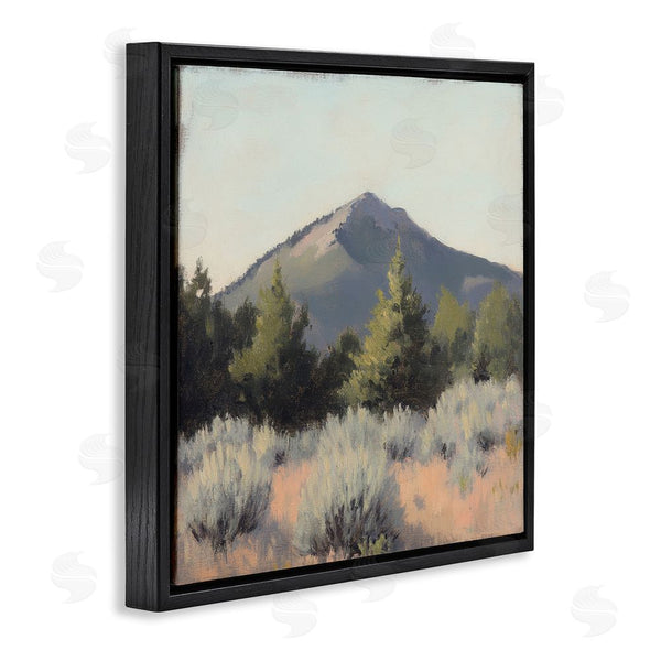 Stupell Industries Petal Prints Design | Tucson Mountain Landscape Wall Art