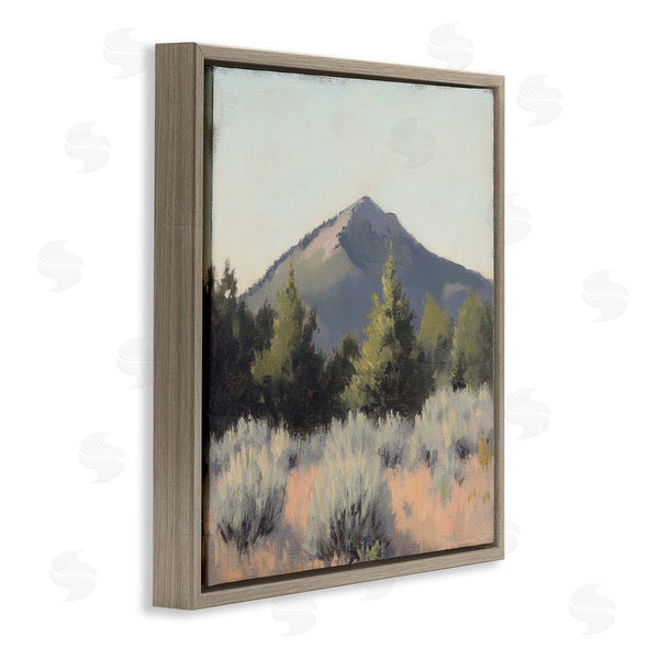 Stupell Industries Petal Prints Design | Tucson Mountain Landscape Wall Art