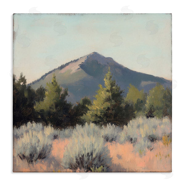stupell industries Petal Prints Design | Tucson Mountain Landscape Wall Art