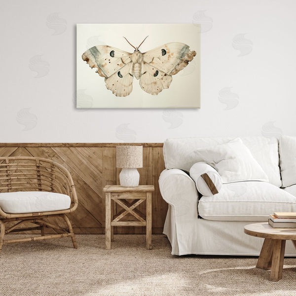 Stupell Industries Petal Prints Design | Vintage Beige Moth Wall Art