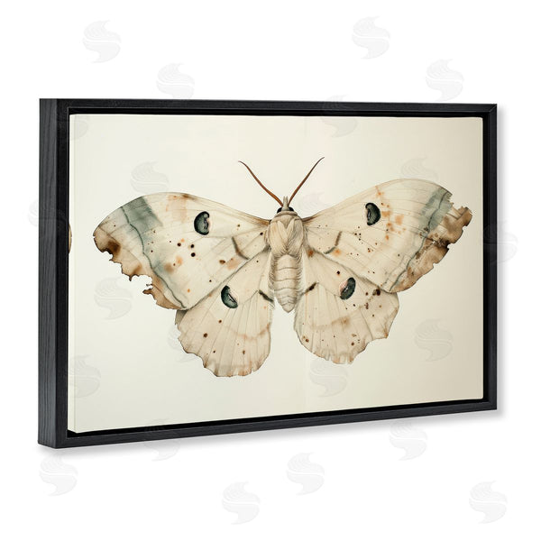 Stupell Industries Petal Prints Design | Vintage Beige Moth Wall Art