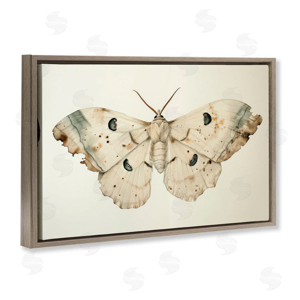 Stupell Industries Petal Prints Design | Vintage Beige Moth Wall Art