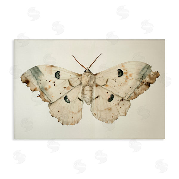 stupell industries Petal Prints Design | Vintage Beige Moth Wall Art