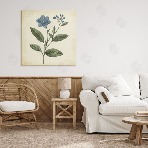Stupell Industries Petal Prints Design | Vintage Blue Blossoms Wildflower Wall Art